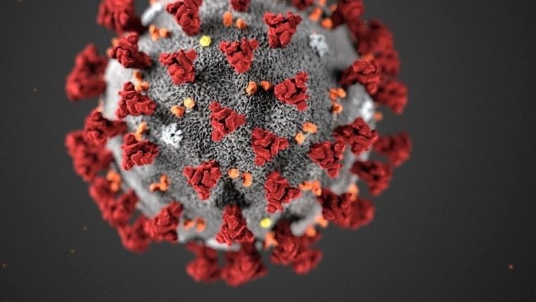 Aktuelles (Covid-19 Virus)